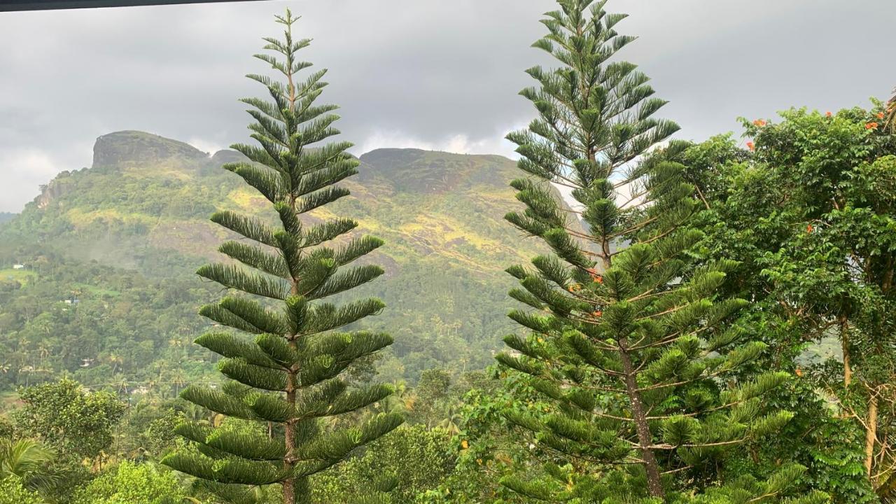 Sceva'S Garden Home Munnar Exterior photo